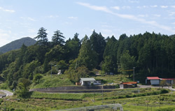 箭降森遠景