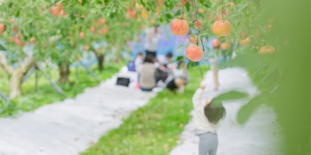 飯南町の風景りんご