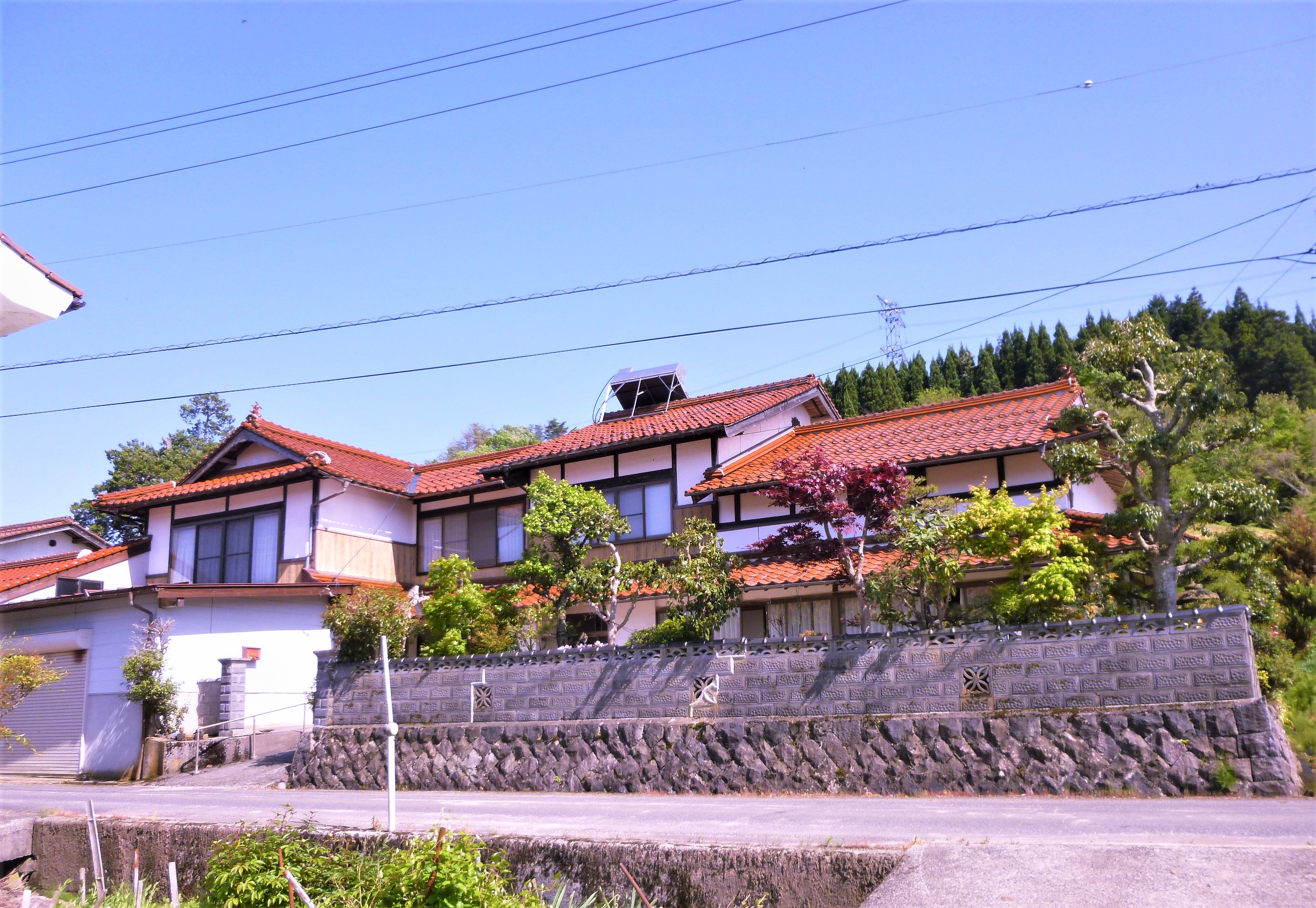 No186の全景